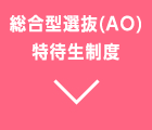 総合型選抜(AO)特待生制度（学費サポート）